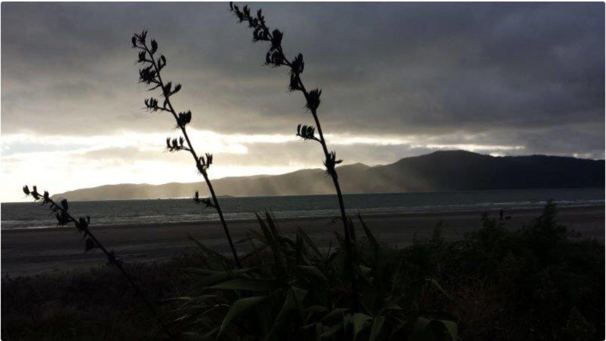 Wrights By The Sea Motel Paraparaumu Exterior photo